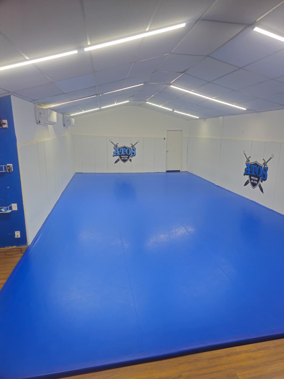 3y9yc-1780495134949