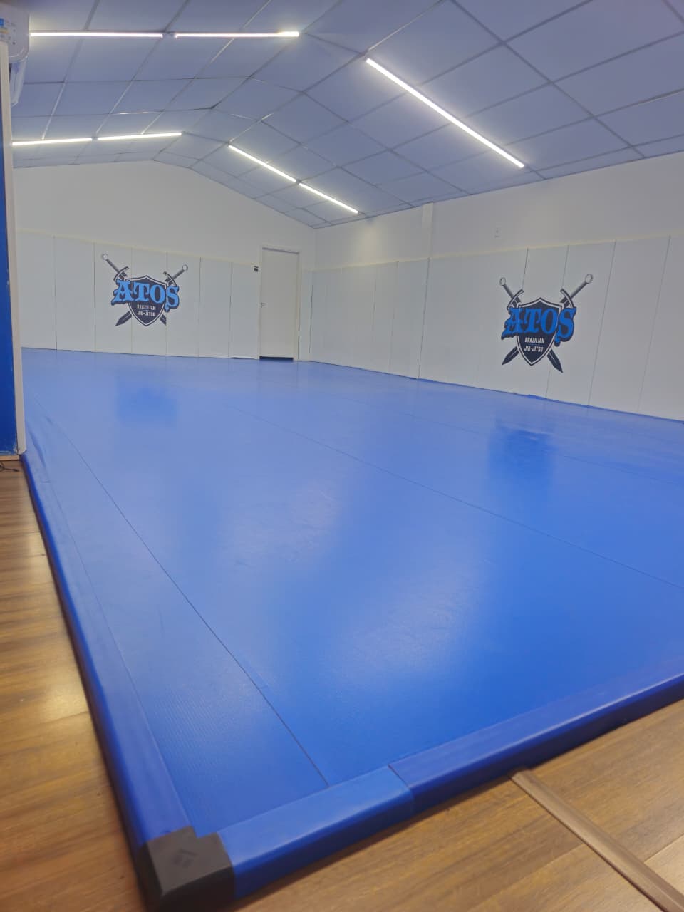 nJv7z-1780495134424